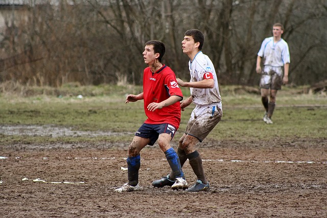 塞尔塔本场 塞尔塔本场