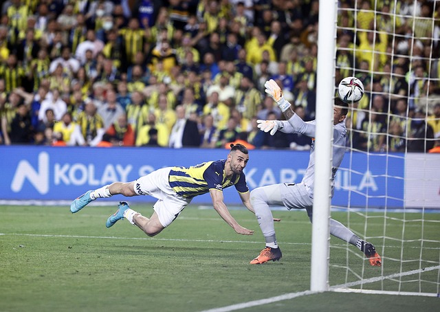 划给出一些 划给出一些