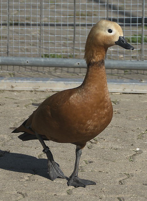 惊喜